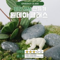 [래예플라워]창원 원데이 클래스 - 테라리움 만들기 클래스