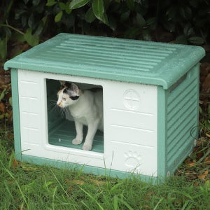 강아지집 고양이 플라스틱 숨숨집 길냥이 길고양이 겨울 실외 도어중형그린 개집