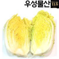 알배기배추 특 8kg 쌈배추 쌈야채