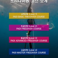 어드벤스드 프리다이버 과정 (PADI ADVANCED FREEDIVER COURSE)_레벨 3 과정