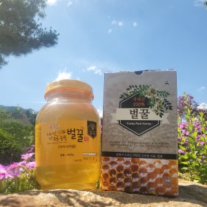 2025햇꿀✨지리산 아카시아꿀,잡화꿀 2.4kg