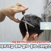 스텐레스 미용 이발 커트 일자가위