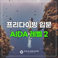 [캄앤다이브] 프리다이빙 초보 레벨2 서울 경기 AIDA