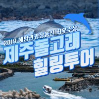 제주 돌고래 보트 투어 요트 체험 액티비티 레저