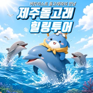 제주도 돌고래 보트 투어 요트 이색 체험 제주 액티비티 레저 놀거리