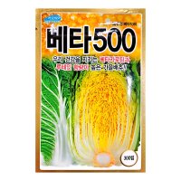 베타500 300립 배추 씨앗 종자 가을 김장 베타 뿌리혹병 바이러스 노균 CR 품종