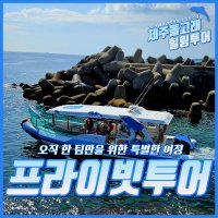 제주 돌고래 보트 투어 요트 체험 액티비티 레저