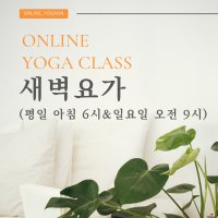 온라인요가온 - YOGAON 새벽요가 1개월 수강권