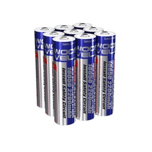 2200mAh 18650 리튬이온 배터리(벌크형) WS-450