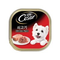 시저 쇠고기 100g 강아지 애견 습식 주식 캔 시져 간식 토퍼