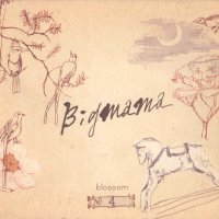 빅마마(Big Mama) 4집 - Blossom