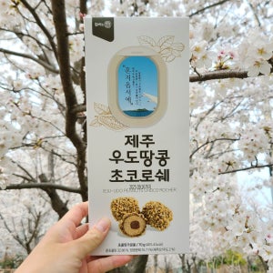 [1+1] 우도땅콩 초코 로쉐 제주 여행 선물 기념품 간식