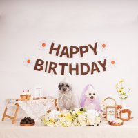 강아지생일파티 고양이 생일상 돌잔치 꽃상세트