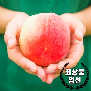 납작복숭아 최저가 가성비상품