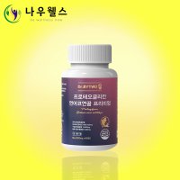 프로테오글리칸 프로테오클리칸 프리테오글리칸 연어코연골