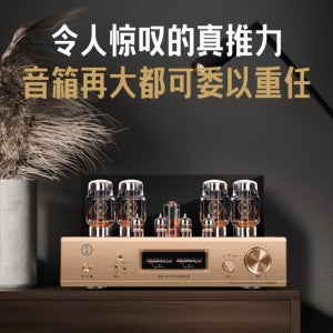 고급오디오 YOUTANG MK8800 전자관 전력 증폭기 HIFI 진공관앰프