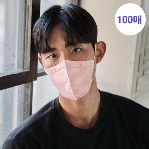 세이피 새부리형 KF94 100매 L(대형), 피치, 100개