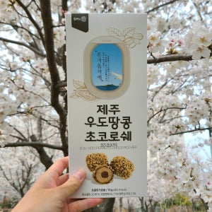 우도땅콩 초코 로쉐 10개입 제주 여행 선물 기념품 간식