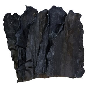 완도산 꼭지다시마 500g 바다의 보물 건다시마100g