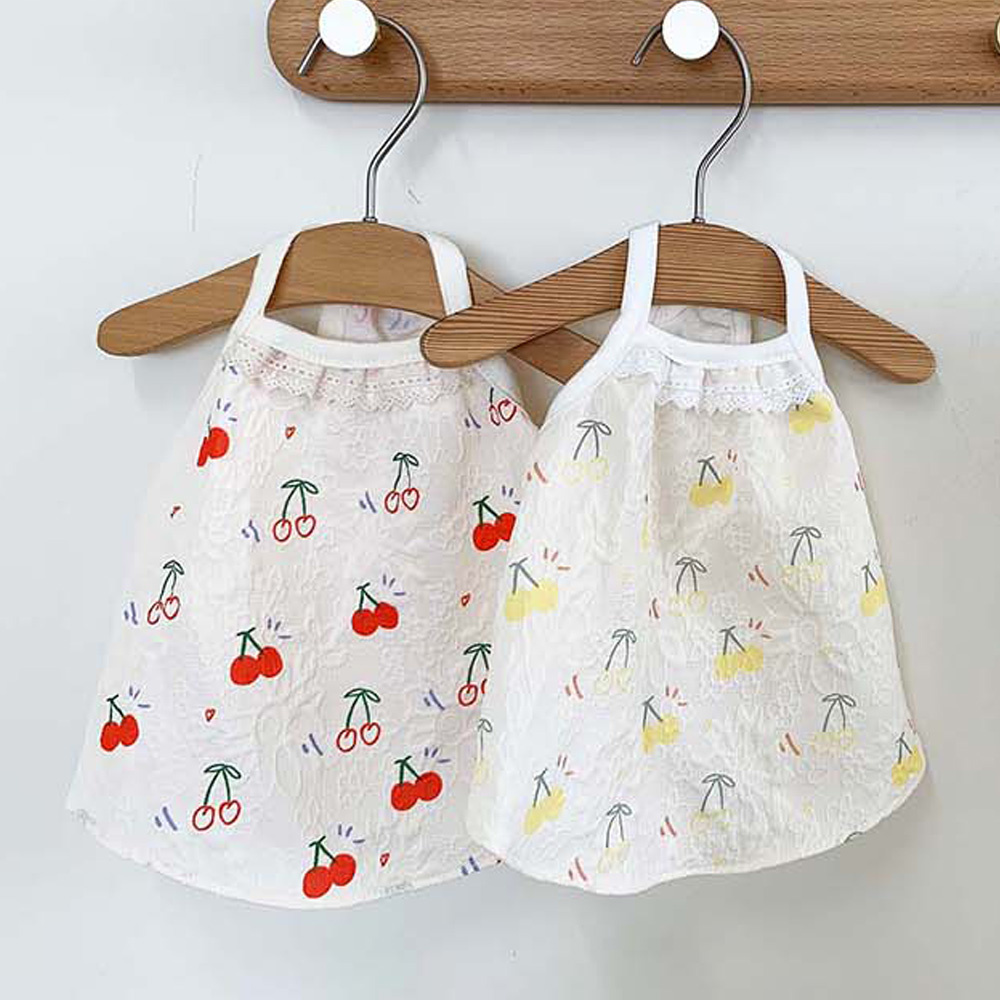 펫팸족 여행용품