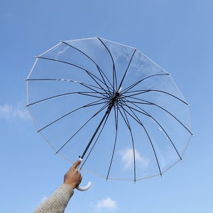 마이홈앳 1+1 튼튼한 16살대 투명 장우산 경량 비닐우산 블랙라인 CT08290