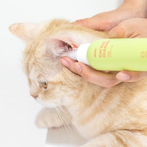이눔 저자극 고양이 비건 캣 귀세정제 100ml