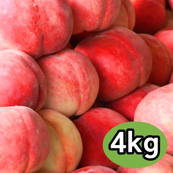 황도 백도 딱딱이복숭아 4kg 경봉 대월 차돌 오도로끼 딱딱한 딱복숭아 딱딱 딱복 햇복숭아
