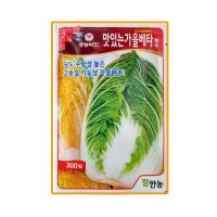 김장배추씨앗 흥농 맛있는가을베타 배추씨앗 300립