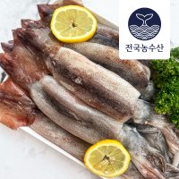 초코오징어 활 동해안 회 산지직송 5마리 선동 국내산 생물 냉동 통찜 숙회 무늬 1kg