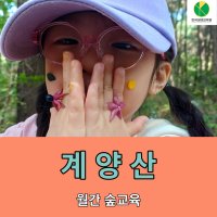 [인천 계양구 9월 숲체험] 계양산 - 한국생태교육원