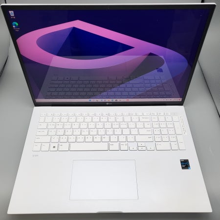 [대여] LG그램 게이밍 노트북렌탈 단기 렌트 7일