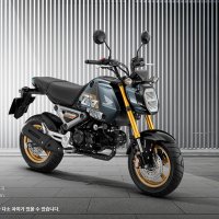 HONDA MSX125 혼다 MINI STREET MSX 125 GROM