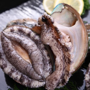 완도 활전복 6-7미1kg (특특대) / 횟감 보양식 전복죽 선물세트