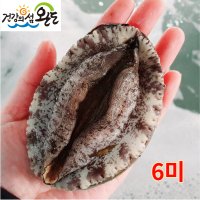 완도 활전복 6미1kg (특대) 선물용 명품