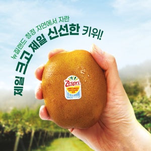 제스프리 썬골드키위 대왕점보 2kg 13입내외/개당150g내외의 크고신선한 골드키위