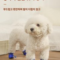 강아지장화 신발 푸들 반려견 산책 장마 미끄럼방지 개신발 애묘 고양이