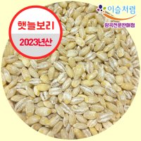 23년산 햇보리 100% 국산 늘보리 4kg