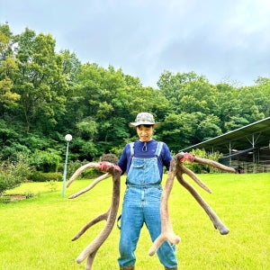 휘록 청록원 사슴농장 녹용 녹용즙 보약 건강즙 60봉 (110ml)