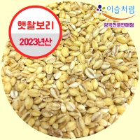 [23년산] 햇보리 100% 국산 찰보리 4kg