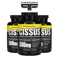 프리마포스 시서스 Cissus Primaforce 120 캡슐 3세트