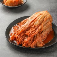 고냉지 묵은지 국내산 강원 양구 10kg