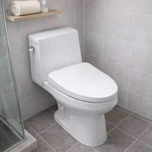 변기 개방형 양변기 도기 대림바스 CC-766