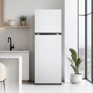 [전국설치] LG 일반냉장고 B245W22 신모델 사실 원룸 250리터급 사업자 인증점