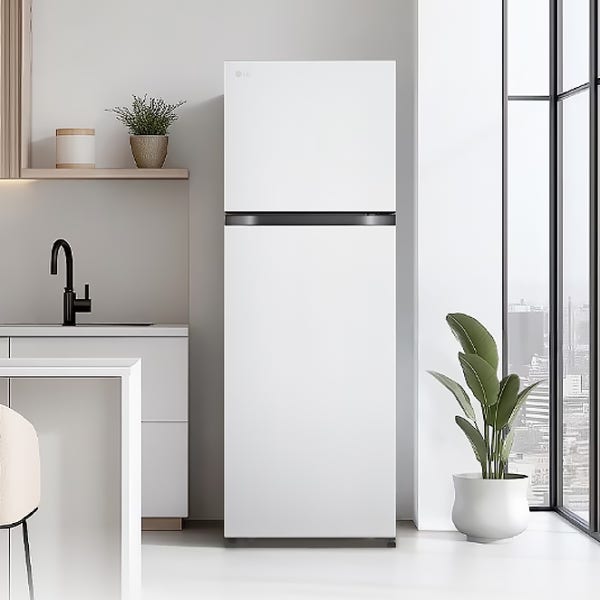 [전국설치] LG 일반냉장고 B245W22 신모델 사실 원룸 250리터급 사업자 인증점