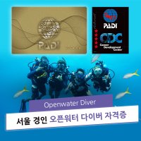 PADI 오픈워터 스쿠버다이빙 자격증 스킨 스쿠바 교육 과정 강습 코스 [서울 경인]