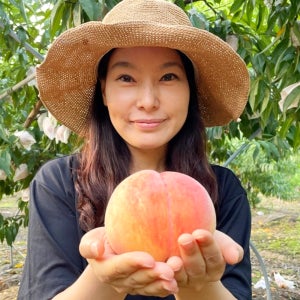 조치원 복숭아 딱복 딱딱이 말랑이 백도 황도 4kg 특대과 선물