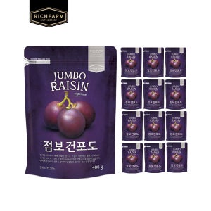 점보건포도 (말린 건포도) 400g, 13개