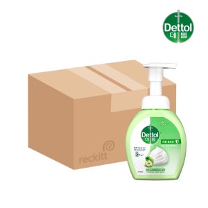 데톨 포밍 항균 핸드워시 애플블로썸, 250ml, 12개