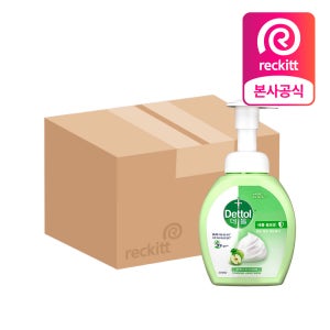 데톨 포밍 항균 핸드워시 애플블로썸, 250ml, 12개