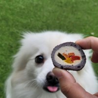 [인천 검단] 애견수제간식 김밥 원데이 클래스